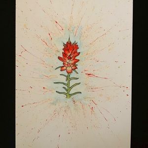 Indian Paintbrush Watercolor Print(8x10 inches)